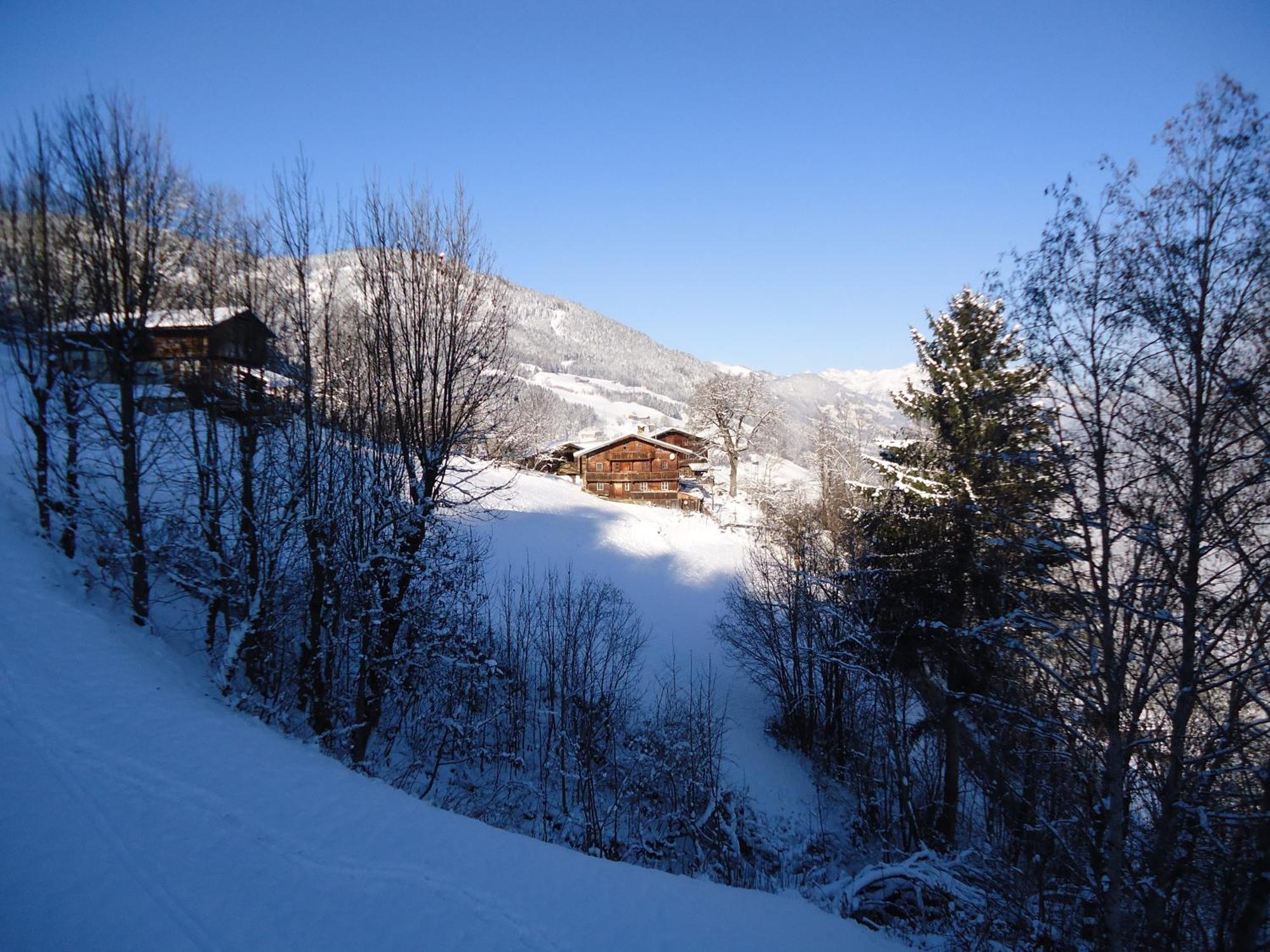 Apart Bianca Zillertal カルテンバッハ エクステリア 写真